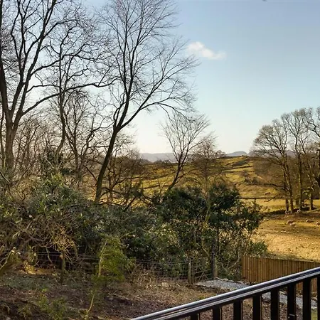 Deer Wood At Applethwaite Hall * 温德米尔
